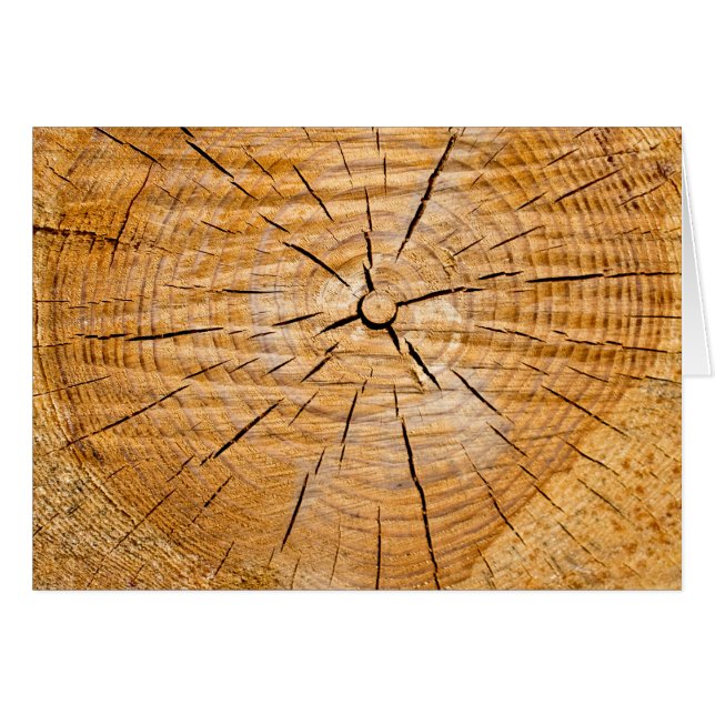 Cartão Fatia da Vida (Frente Horizontal)