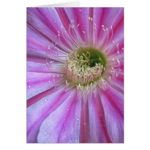 Cartão Fatia de bolo flatty