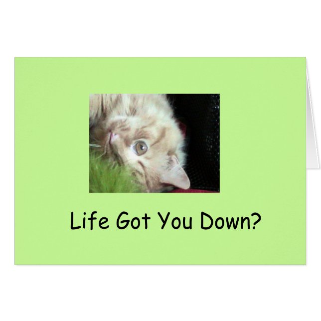 Cartão Fatos peludos gordos (Frente Horizontal)