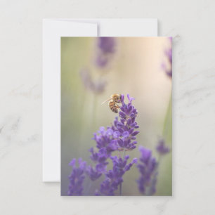 Cartão Favo de Mel Flor de Lavanda Foto da Natureza