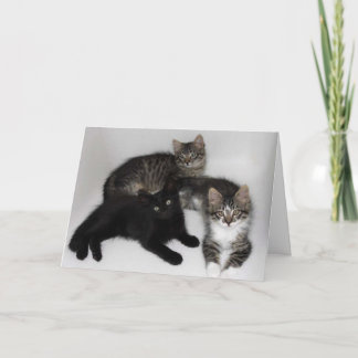 Cartão Favorite Child Mother's Day Card