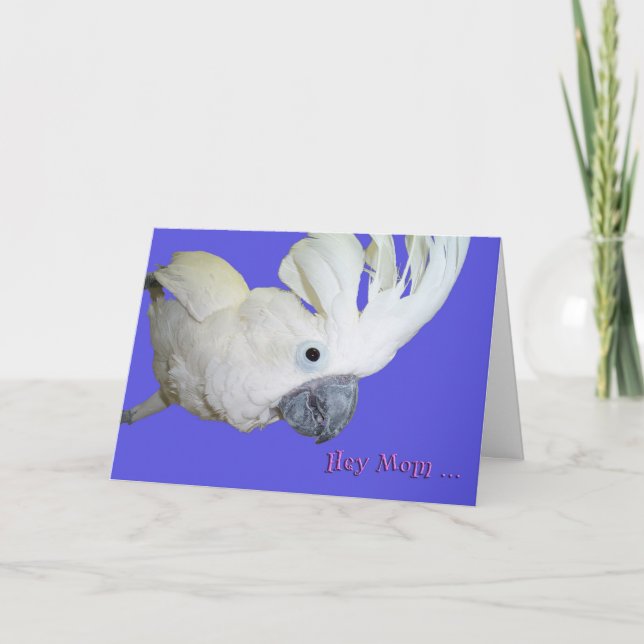 Cartão Favorito (Frente)