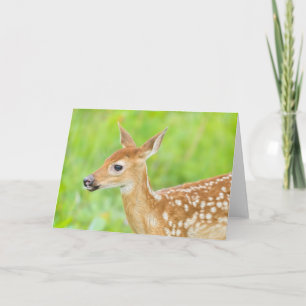 Cartão Fawn De Veado Branco   Minnesota