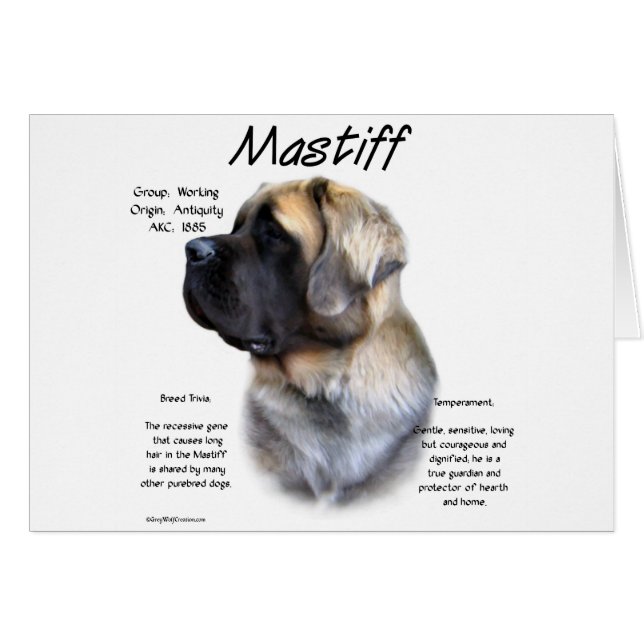Cartão Fawn Fluffy Mastiff Histórico (Frente Horizontal)