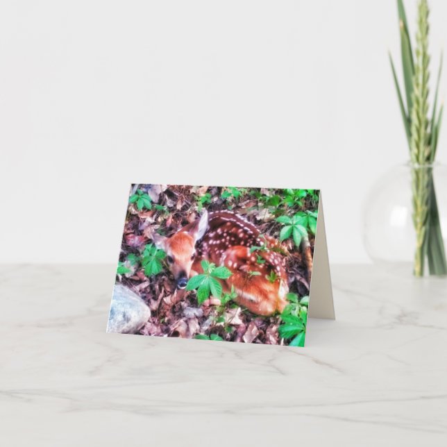 CARTÃO FAWN GREETING CARD (Frente)