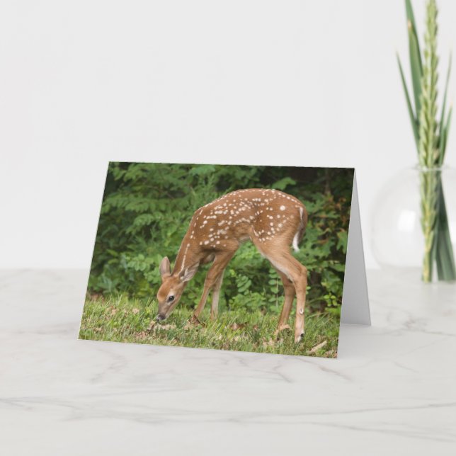 Cartão Fawn Greeting Card No. 1 (Frente)
