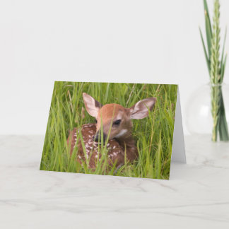 Cartão Fawn Greeting Card No. 3