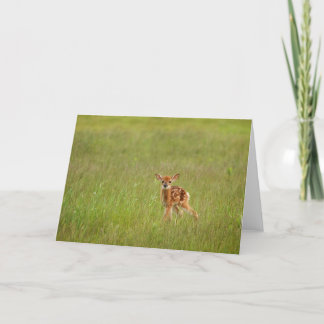 Cartão Fawn Greeting Card No. 4