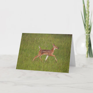 Cartão Fawn Greeting Card No. 7