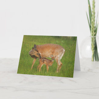 Cartão Fawn Greeting Card No. 8