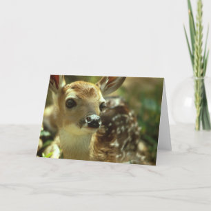 Cartão Fawn Greeting Cards