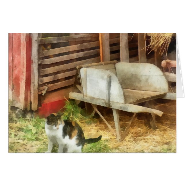 Cartão Fazenda Cat (Frente Horizontal)