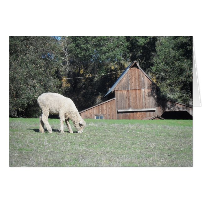 Cartão Fazenda da Califórnia (Frente Horizontal)