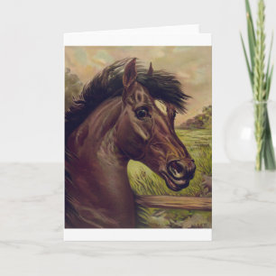 Cartão fazenda de cavalo cavalaria esportes esporte caval