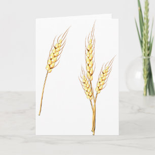 Cartão Fazenda de Colheita de Grãos de Trigo Dourado