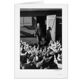 Cartão Fazenda de frango Mori Nakashima 1943