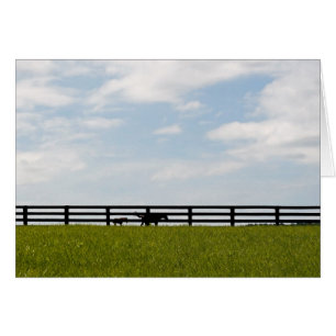 Cartão Fazenda de Stallion