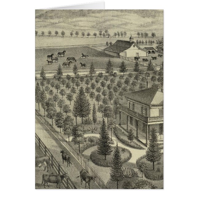 Cartão Fazenda Evergreen Ave (Frente)