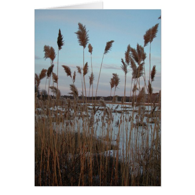 Cartão Fazenda Laudholm (Frente)