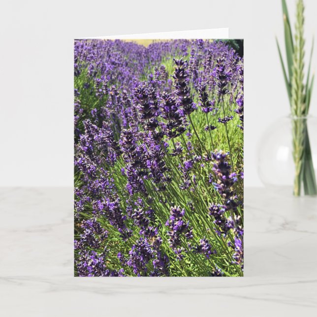Cartão Fazenda lavanda (Frente)