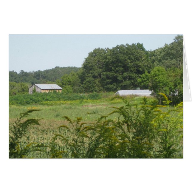 Cartão Fazendas (Frente Horizontal)