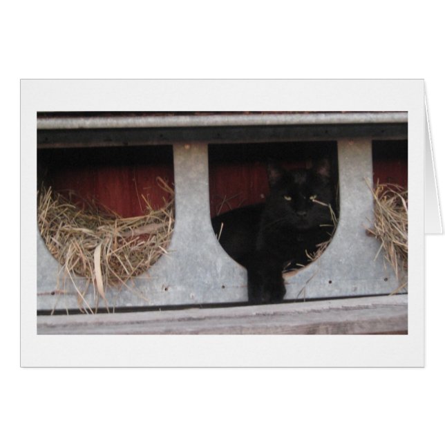 Cartão fazendo uma pausa (Frente horizontal)