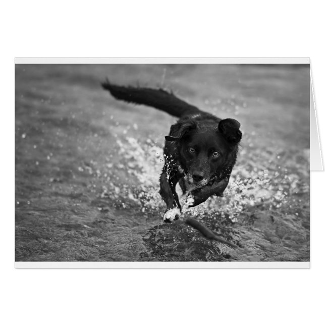 Cartão fazer a splash (Frente Horizontal)