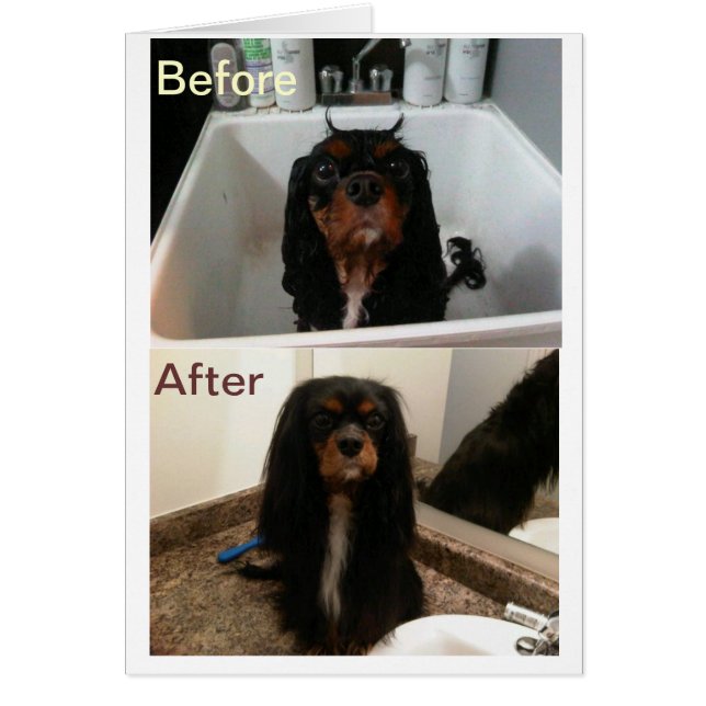 CARTÃO FÉ ANTES E DEPOIS (Frente)