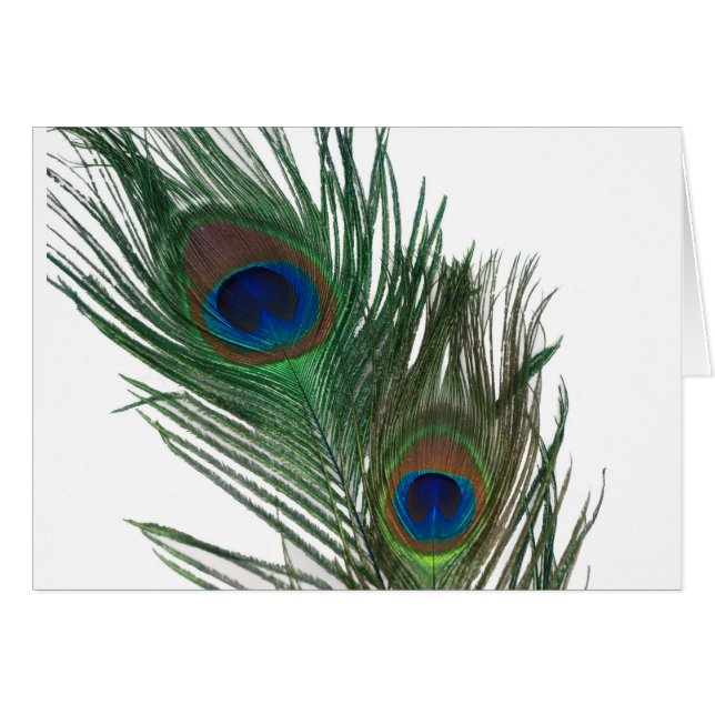 Cartão Feather Branca Adorável (Frente Horizontal)