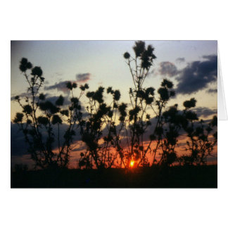 Cartão Febre e pôr do sol