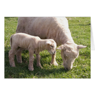 Cartão Fechamento de aderência