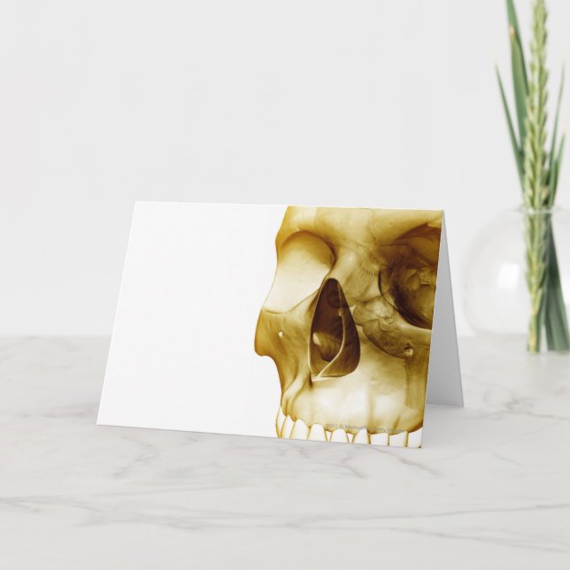 Cartão Fechar a vista frontal do cérebro dentro a crânio (Frente)