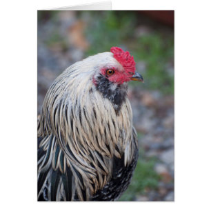 Cartão Feche-se perto e pessoal!