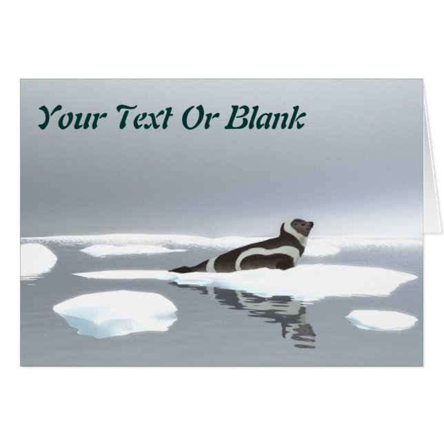 Cartão Fecho De Friso No Gelo (Frente Horizontal)