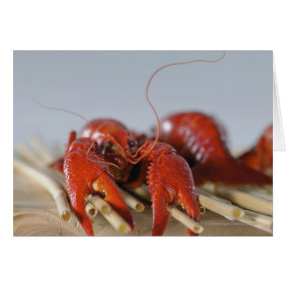 Cartão Fecho de um caranguejo em paus