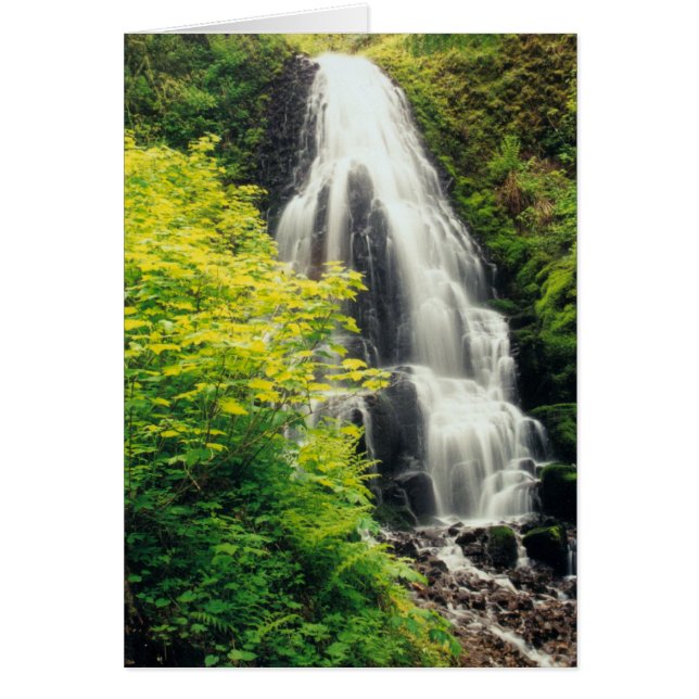 Cartão Feiras (Frente)