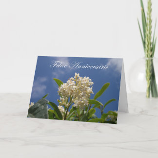 Cartão Felice Anniversario - Happy Anniversary