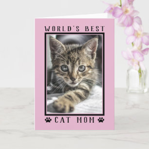 Cartão Felicidades Mãe de Gato Mais Querida do Mundo Foto