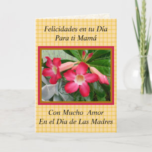 Cartão Felicidades Mama en el Dia de Las Madres 1021