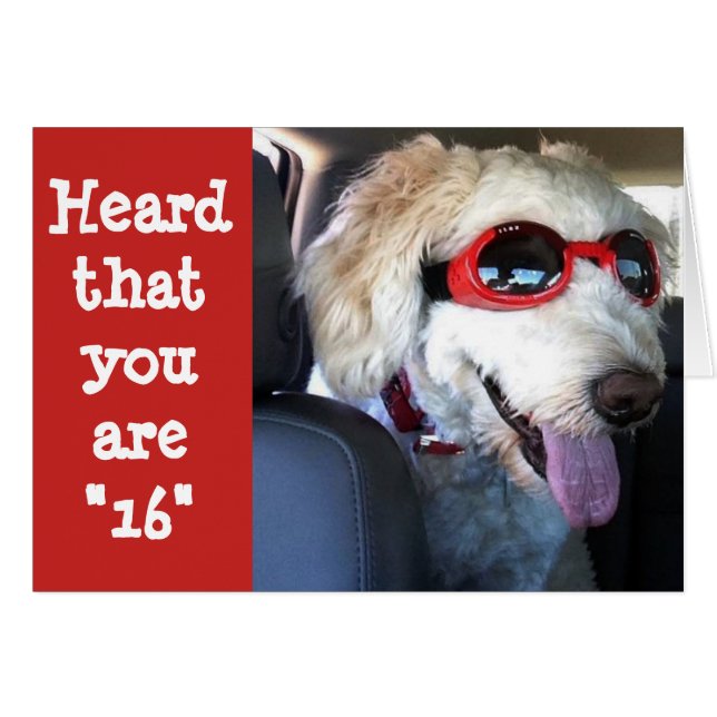 CARTÃO FELIZ **16º ANIVERSÁRIO**HORA DE CELEBRAR!!!! (Frente Horizontal)