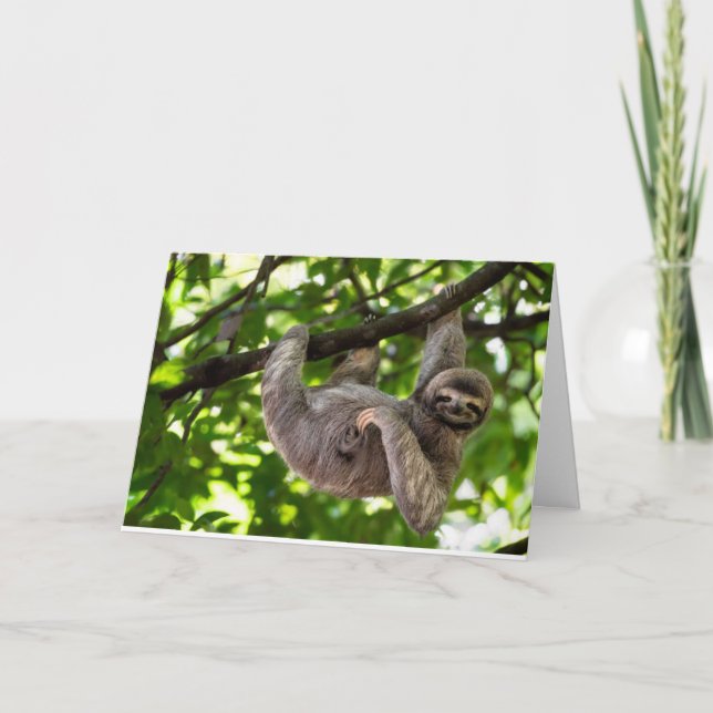 CARTÃO FELIZ * 16* ANIVERSÁRIO (Frente)