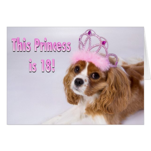 Cartão Feliz 18º aniversário Cavalier King Charles Card (Frente Horizontal)