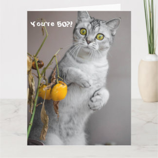 Cartão Feliz 50º Aniversário do Gato Engraçado