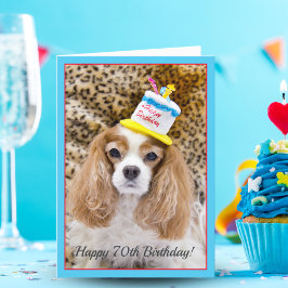 Cartão Feliz 70º Aniversário Cavalier King Charles