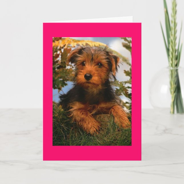 Cartão Feliz Airedale Terrier Puppy Dog Card (Frente)