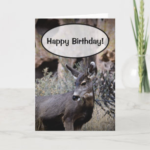 Cartão Feliz aniversário!