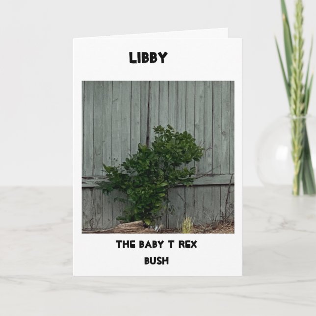 Cartão Feliz aniversário 🎊 🎁 🎈 (Frente)