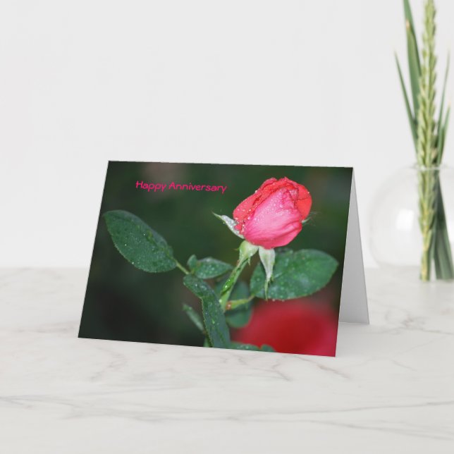 Cartão Feliz aniversário (Frente)