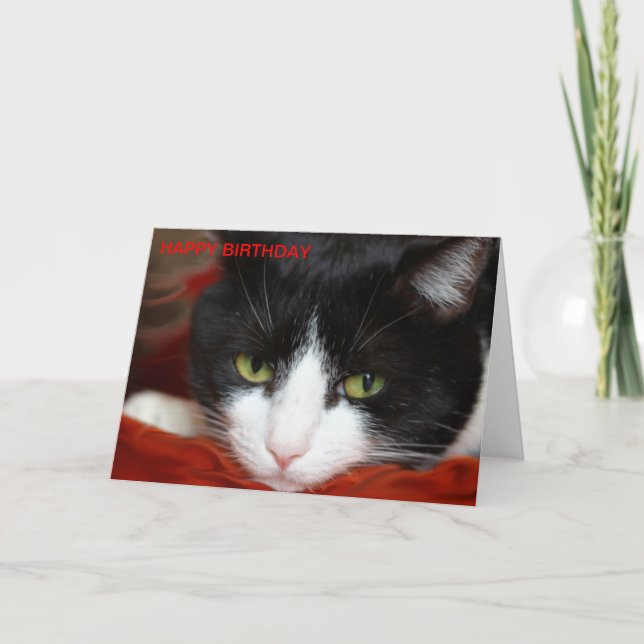 CARTÃO FELIZ ANIVERSÁRIO (Frente)