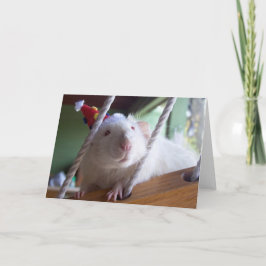 Cartão Feliz aniversário